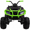 Детский квадроцикл Grizzly Next Green/Black 4WD с пультом управления  в магазине радиоуправляемых моделей City88