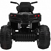Детский квадроцикл Grizzly ATV 4WD Black 12V с пультом в магазине радиоуправляемых моделей City88
