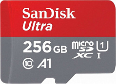 Карта памяти SanDisk Ultra microSDXC Class 10 UHS Class 1 A1 100MB/s 256GB + SD adapter