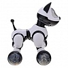 Интерактивная собака Youdy с управлением голосом и руками - MG010 в магазине радиоуправляемых моделей City88