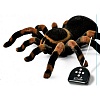 Радиоуправляемый робот-паук Cute Sunlight Tarantula ИК-управление - 781 в магазине радиоуправляемых моделей City88