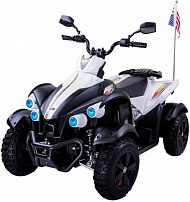 Детский спортивный электроквадроцикл Dongma ATV White 12V - DMD-268B-W