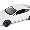 Радиоуправляемая машина Bentley GT Supersport White 1:14 - MZ-2048-W в магазине радиоуправляемых моделей City88