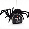 Радиоуправляемый паук Zhorya "Черная Вдова" - ZYB-B0046 в магазине радиоуправляемых моделей City88