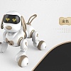 Радиоуправляемая собака-робот Smart Robot Dog ''Dexterity'' - 18011 в магазине радиоуправляемых моделей City88