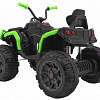 Детский квадроцикл Grizzly 4WD 12 V.Green/Black  с пультом 